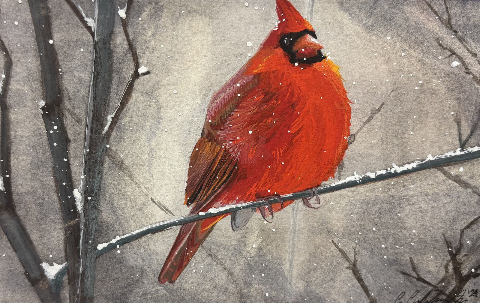 Winter Cardinal